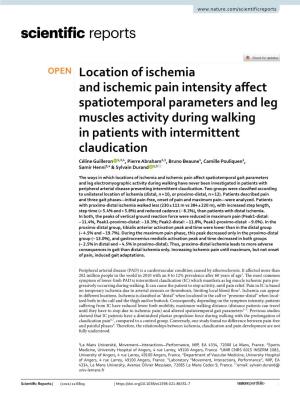 Location of Ischemia and Ischemic Pain Intensity Affect Spatiotemporal