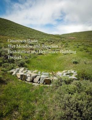 Wet Meadow and Riparian Restoration and Resilience-Building Project 1
