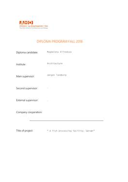 Diploma Program__Magdalena Alfredova.Pdf (4.469Mb)