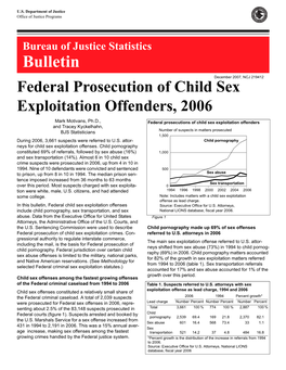 Federal Prosecution of Child Sex Exploitation Offenders, 2006
