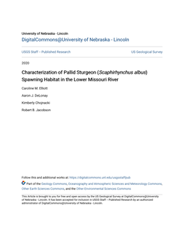 Characterization of Pallid Sturgeon (&lt;I&gt;Scaphirhynchus Albus&lt;/I