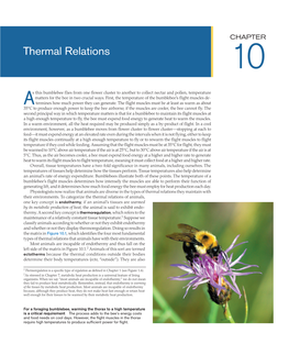 Thermal Relations 10