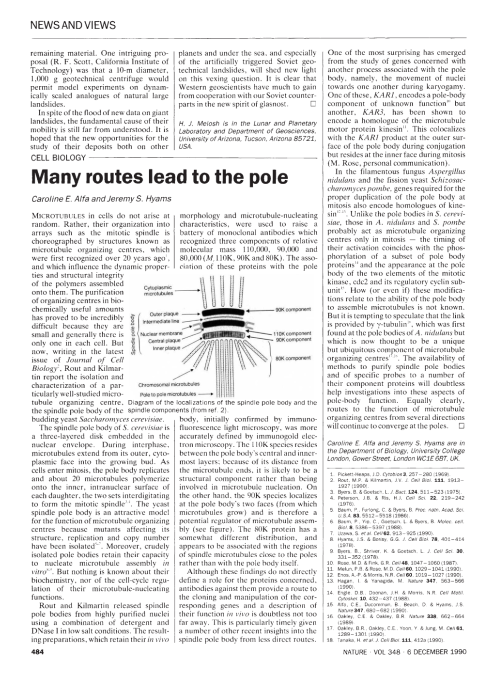 Many Routes Lead to the Pole Nidulans and the Fission Yeast Schizo.Mc­ Charomyces Pombe, Genes Required for the Caroline E