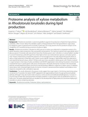 Proteome Analysis of Xylose Metabolism in Rhodotorula Toruloides During Lipid Production Ievgeniia A