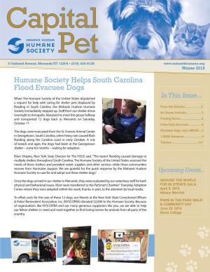 Humane Society Helps South Carolina Flood Evacuee Dogs