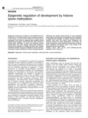 Epigenetic Regulation of Development by Histone Lysine Methylation