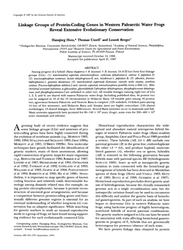 Linkage Groups of Protein-Coding Genes in Western Palearctic Water Frogs Reveal Extensive Evolutionary Conservation