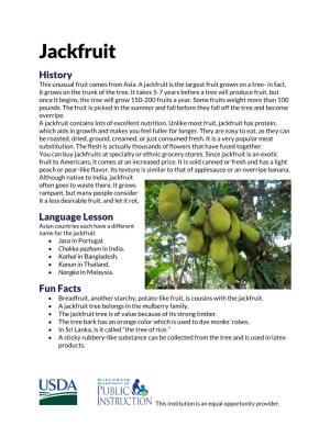 Jackfruit History This Unusual Fruit Comes from Asia