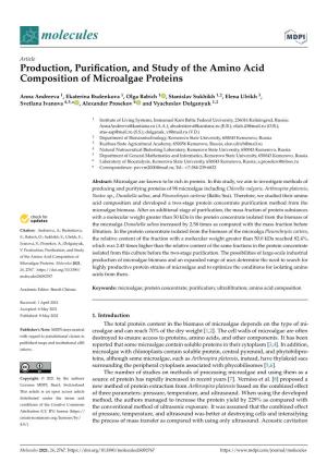 Production, Purification, and Study of the Amino Acid Composition of Microalgae Proteins