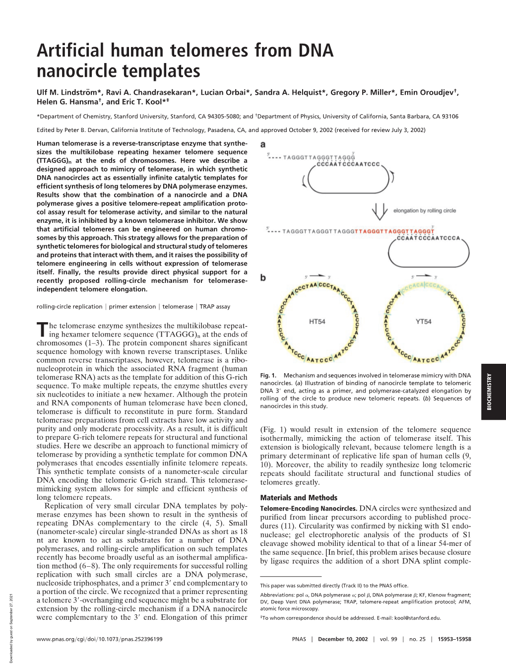 Artificial Human Telomeres from DNA Nanocircle Templates