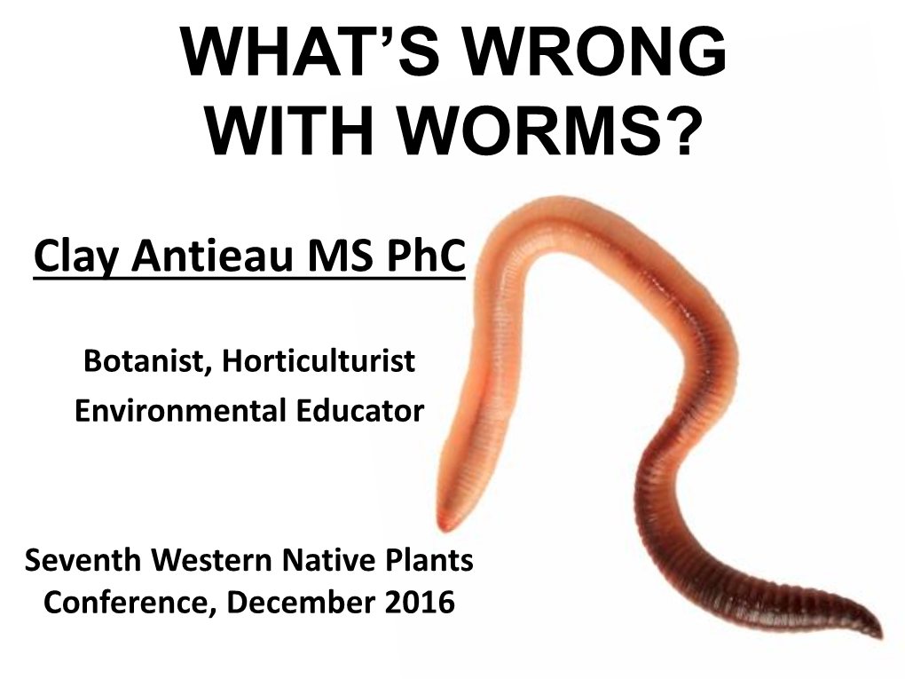 What's Wrong with Worms?