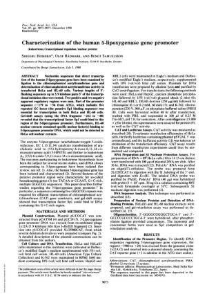 Characterization of the Human 5-Lipoxygenase Gene
