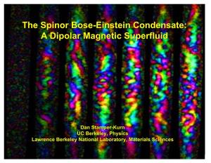 The Spinor Bose-Einstein Condensate: a Dipolar Magnetic Superfluid