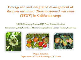 Thrips-Transmitted Tomato Spotted Wilt Virus (TSWV) in California Crops