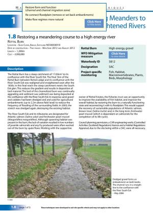 Restoring Meanders to Straightened Rivers 1