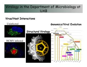 Virology in the Department of Microbiology at UAB