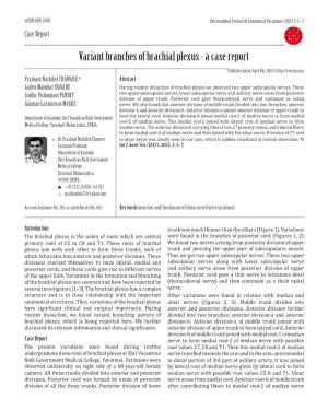 Variant Branches of Brachial Plexus - a Case Report