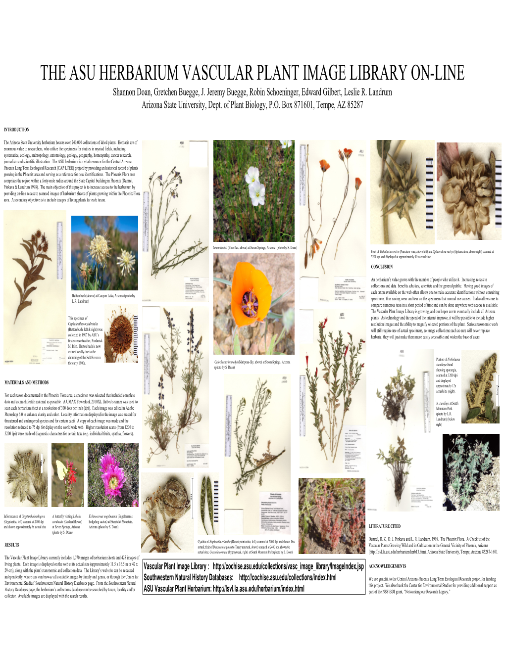 THE ASU HERBARIUM VASCULAR PLANT IMAGE LIBRARY ON-LINE Shannon Doan, Gretchen Buegge, J
