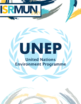 UNEP Background Paper