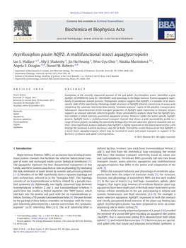 Acyrthosiphon Pisum AQP2: a Multifunctional Insect Aquaglyceroporin