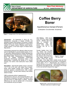 Coffee Berry Borer Hypothenemus Hampei (Ferrari) (Coleoptera: Control