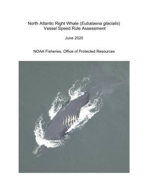 North Atlantic Right Whale Vessel Speed Rule Assessment