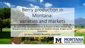 Introduction to Berry and Small Fruit Varieties and Markets in Montana