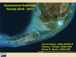 Screwworm Outbreak: Florida 2016 - 2017