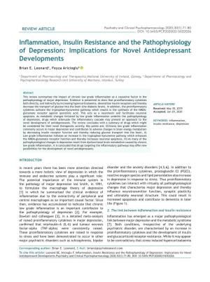 Inflammation, Insulin Resistance and the Pathophysiology of Depression: Implications for Novel Antidepressant Developments