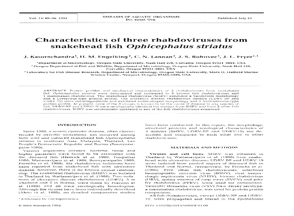 Characteristics of Three Rhabdoviruses from Snakehead Fish Ophicephalus Striatus