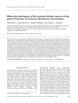 Molecular Phylogeny of the Western Atlantic Species of the Genus Portunus (Crustacea, Brachyura, Portunidae)