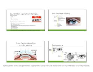 Sound Like an Expert, Learn the Lingo… First: Basic Eye Anatomy Cross