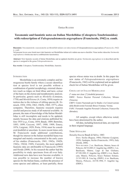 Coleoptera Tenebrionoidea) with Redescription of Falsopseudotomoxia Argyropleura (Franciscolo, 1942) N