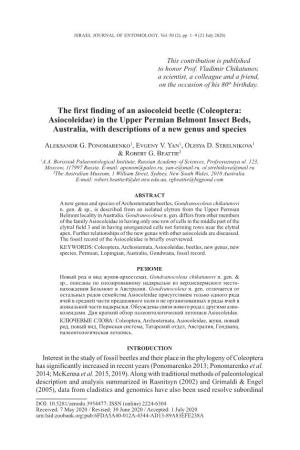 A New Genus and Species of Asiocoleidae (Coleoptera) From