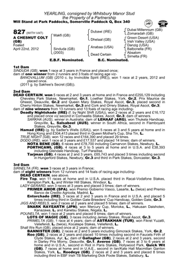 YEARLING, Consigned by Whitsbury Manor Stud the Property of a Partnership Will Stand at Park Paddocks, Somerville Paddock Q, Box 340
