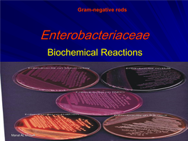 Enterobacteriaceae Biochemical Reactions