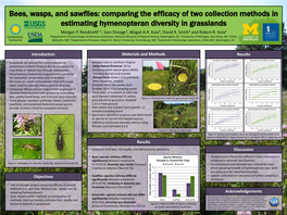Bees, Wasps, and Sawflies: Comparing the Efficacy of Two Collection Methods in Estimating Hymenopteran Diversity in Grasslands Morgan P