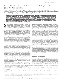 Genome Size Diversification in Central American Bolitoglossine Salamanders (Caudata; Plethodontidae)