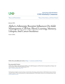 Alpha1a Adrenergic Receptor Influences on Adult Neurogenesis, Cell Fate, Mood, Learning, Memory, Lifespan, and Cancer Incidence Katie Collette