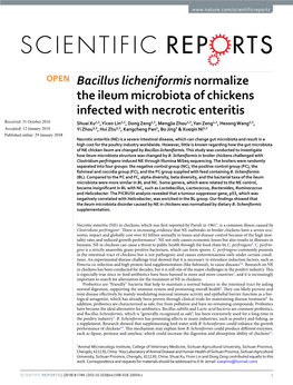 Bacillus Licheniformis Normalize the Ileum Microbiota of Chickens