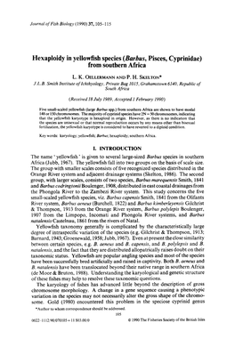 Hexaploidy in Yellowfish Species (Barbus, Pisces, Cyprinidae) from Southern Africa