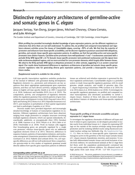Distinctive Regulatory Architectures of Germline-Active and Somatic Genes in C