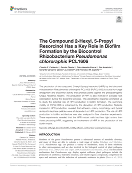 The Compound 2-Hexyl, 5-Propyl Resorcinol Has a Key Role in Bioﬁlm Formation by the Biocontrol Rhizobacterium Pseudomonas Chlororaphis PCL1606