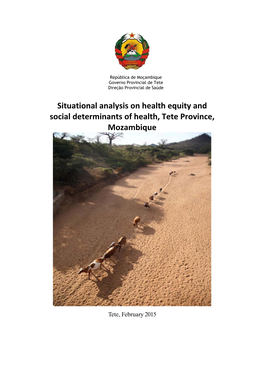 Situational Analysis on Health Equity and Social Determinants of Health, Tete Province, Mozambique