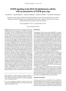 EGFR Signaling in the HGG-02 Glioblastoma Cell Line with an Unusual Loss of EGFR Gene Copy