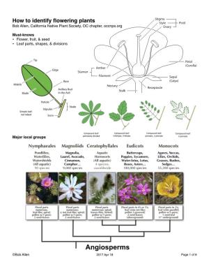 Bob Allen's OCCNPS Presentation About Plant Families.Pages