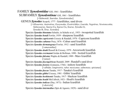 Family-Synodontidae-Overview-PDF