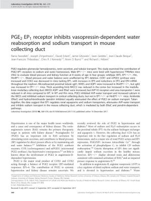 PGE2 EP1 Receptor Inhibits Vasopressin-Dependent Water