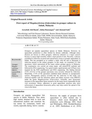 First Report of Megalocytivirus (Iridoviridae) in Grouper Culture in Sabah, Malaysia