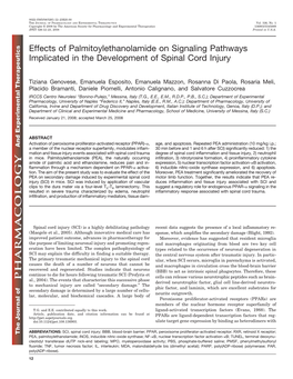 Effects of Palmitoylethanolamide on Signaling Pathways Implicated in the Development of Spinal Cord Injury